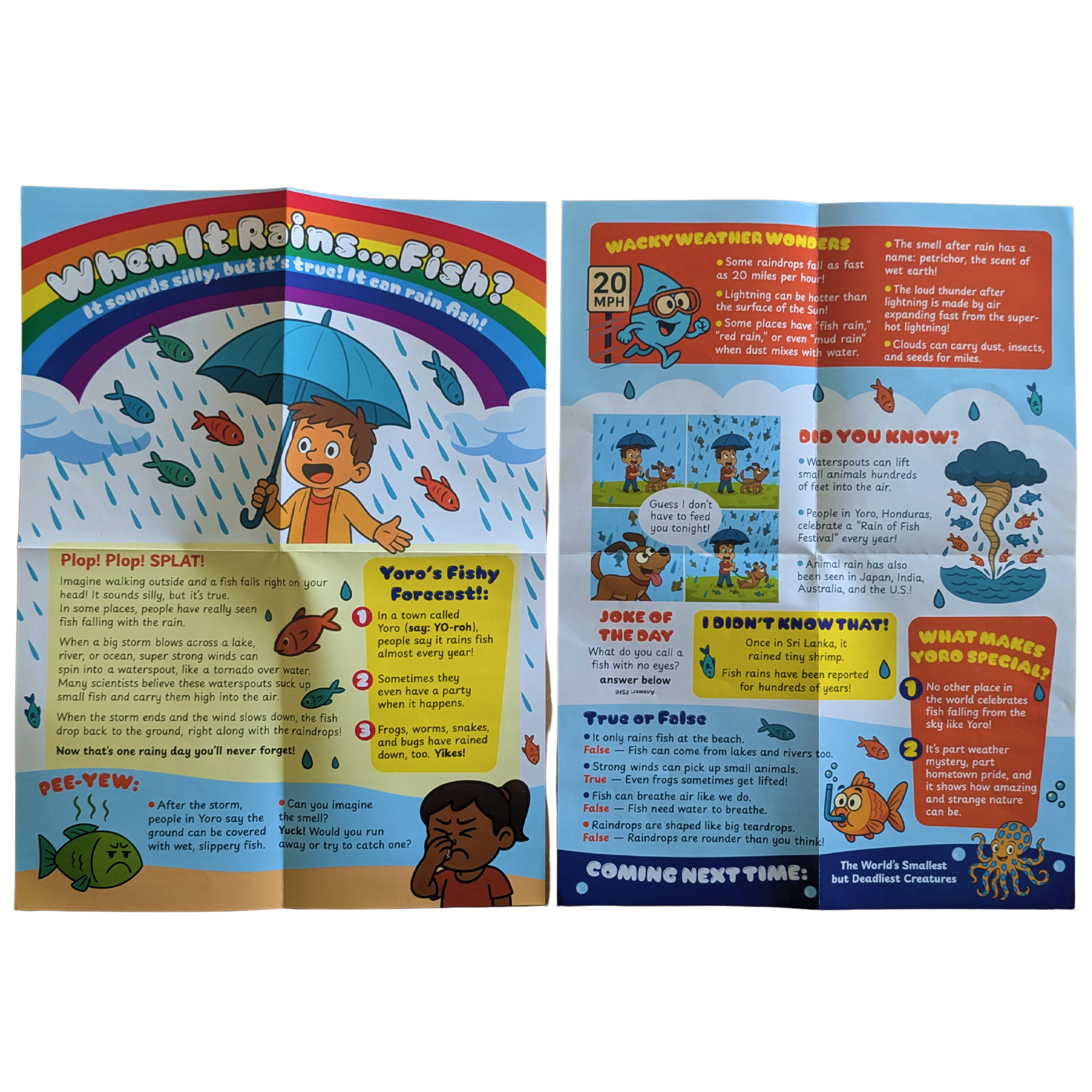 Wacky World Mail Experience | Monthly Delivery - Wacky World Mail